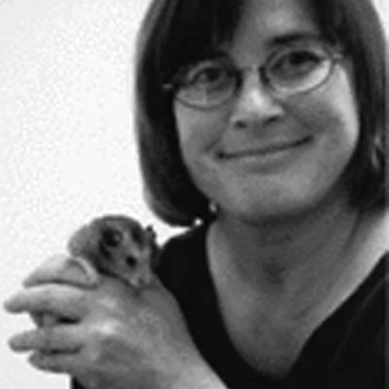 1797_peggy_rathmann.jpg