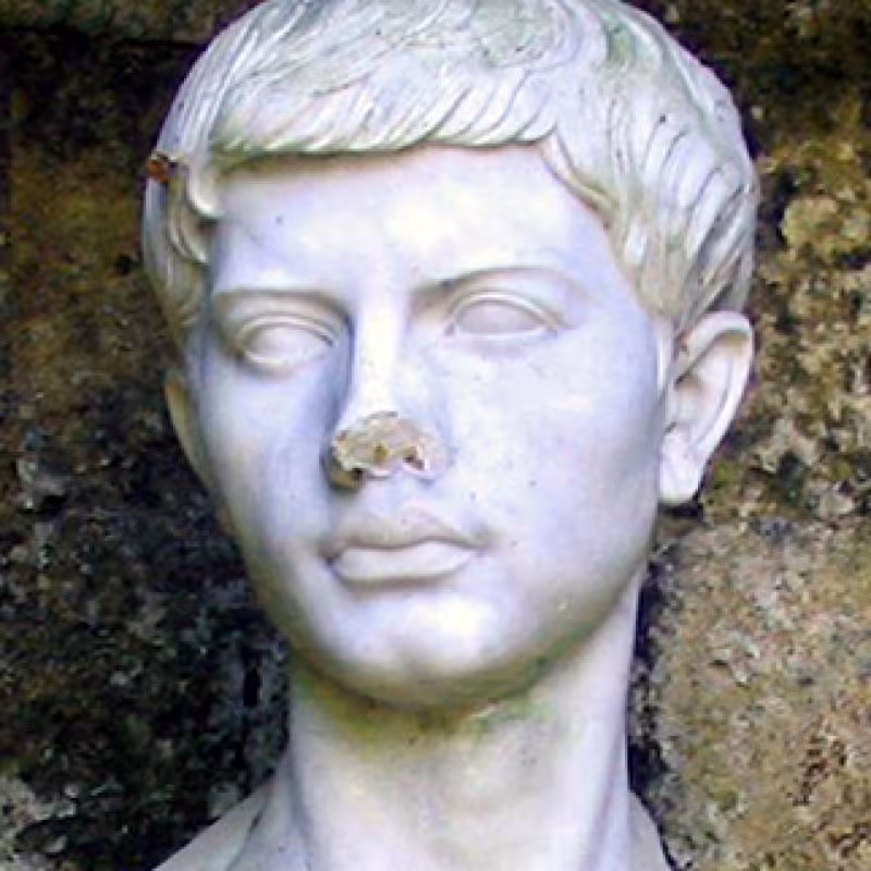 2215_virgile.jpg