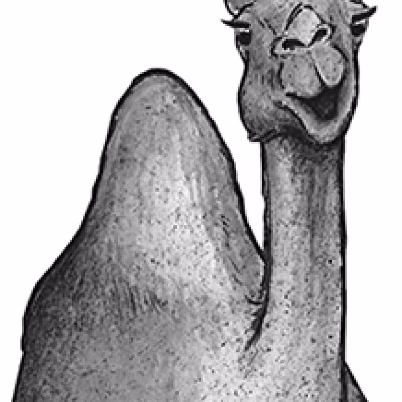 604_emmanuelle_de-castro.jpg