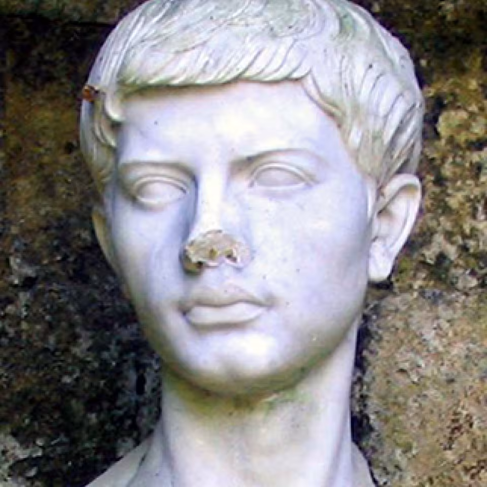2215_virgile.jpg