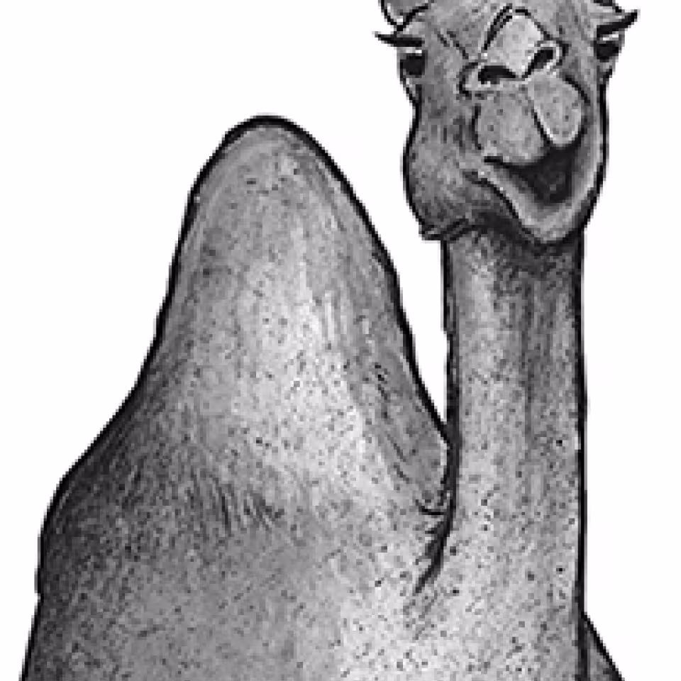 604_emmanuelle_de-castro.jpg