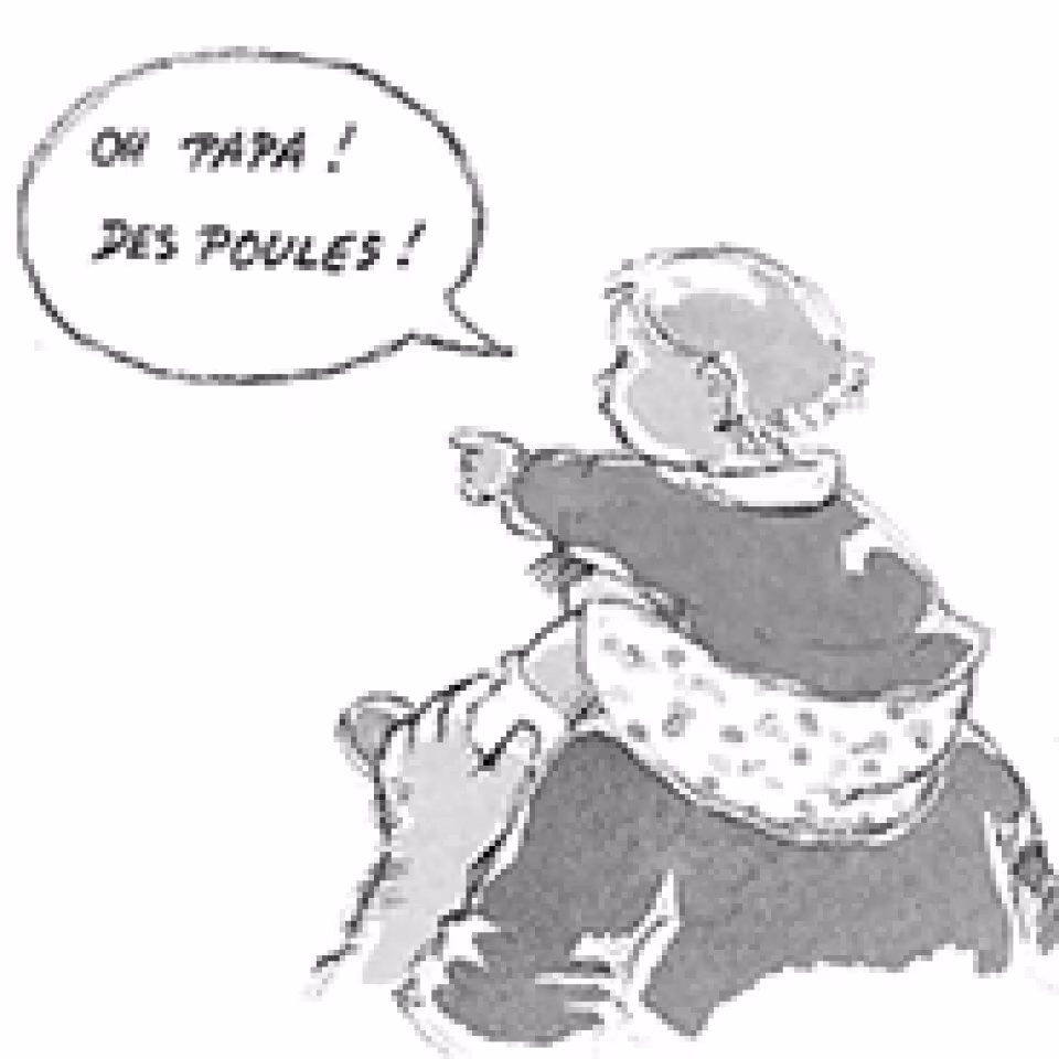 781_anne-sophie_fievet.jpg